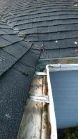 Clean Pro Gutter Cleaning Newtown  image 3